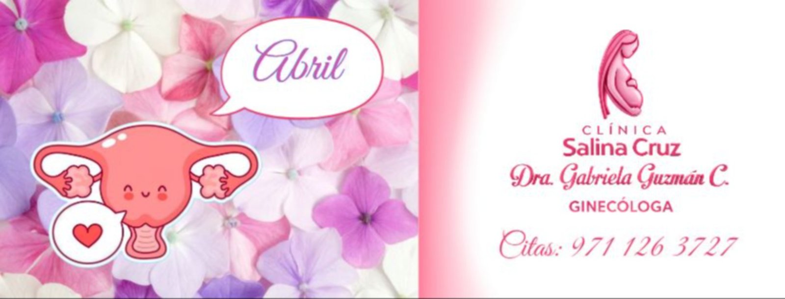 Portada de Gabriela Guzman Cartas